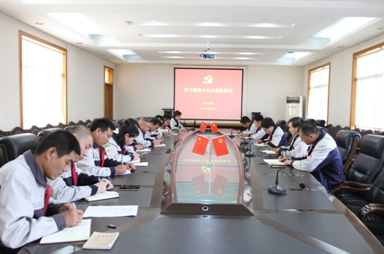365速发国际(中国)官方网站